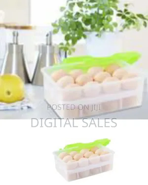 Plastic Double Egg Tray Storage
