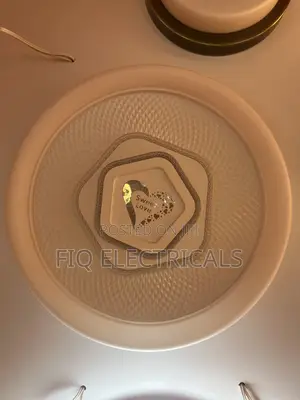 Ceiling Light