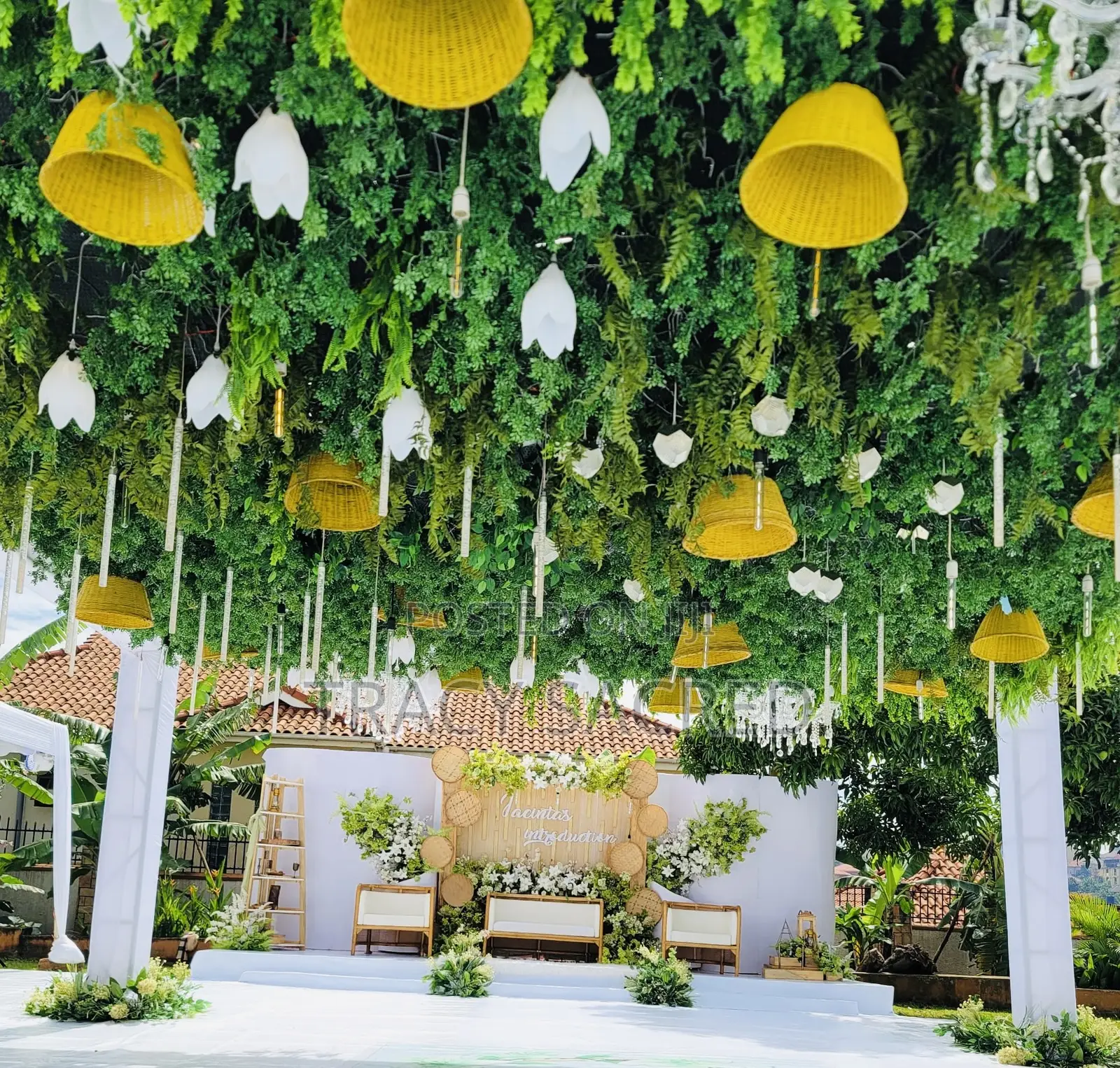 Betty’S Introduction Decoration