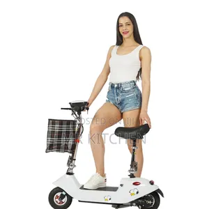 Electric City Bike(Scooter)