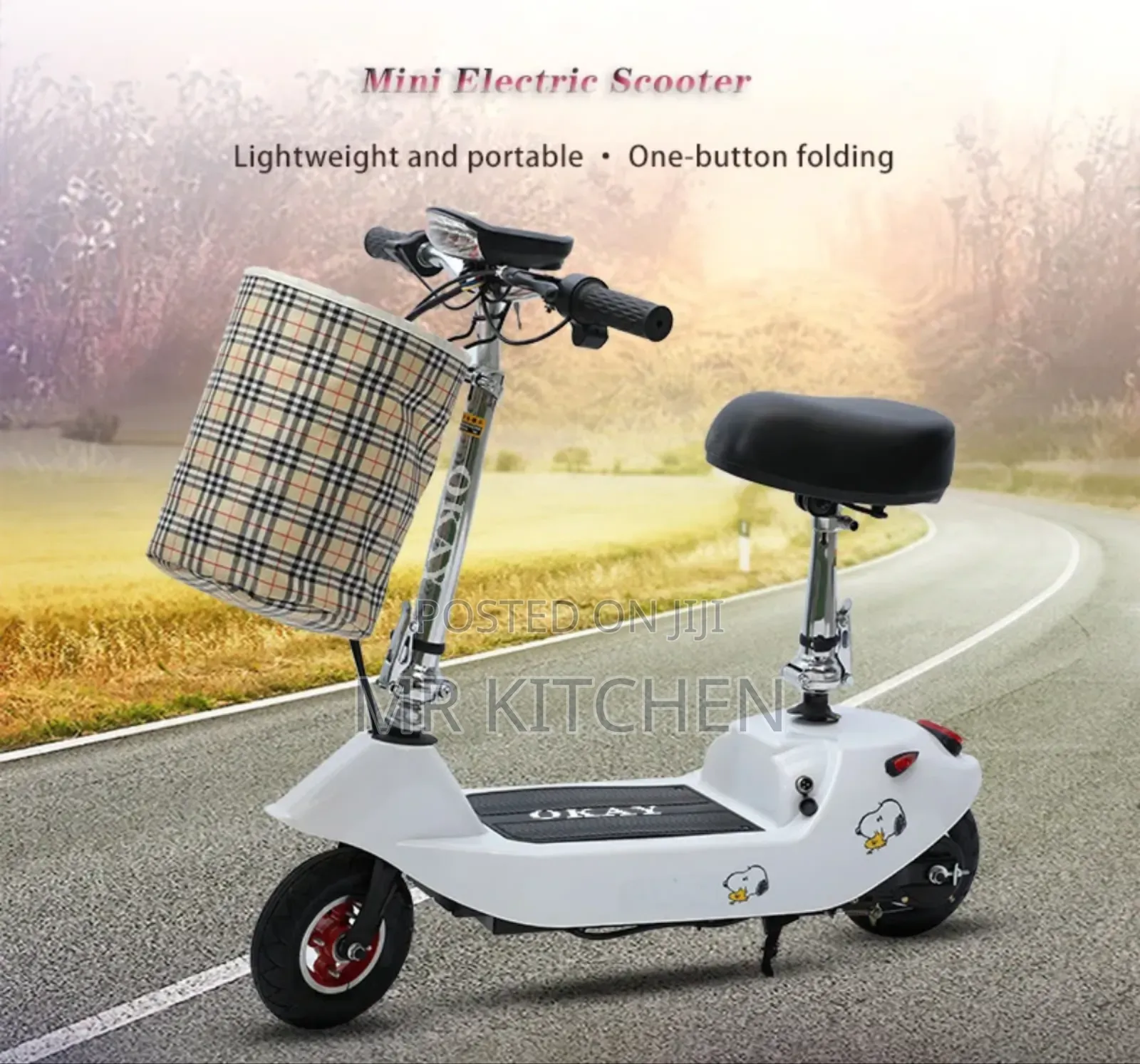 Electric City Bike(Scooter)