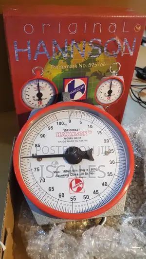 Manual Weighing Scale Mechanical 100kg Weigh Manual Weighing Scale
