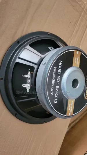 10 Inch Speaker