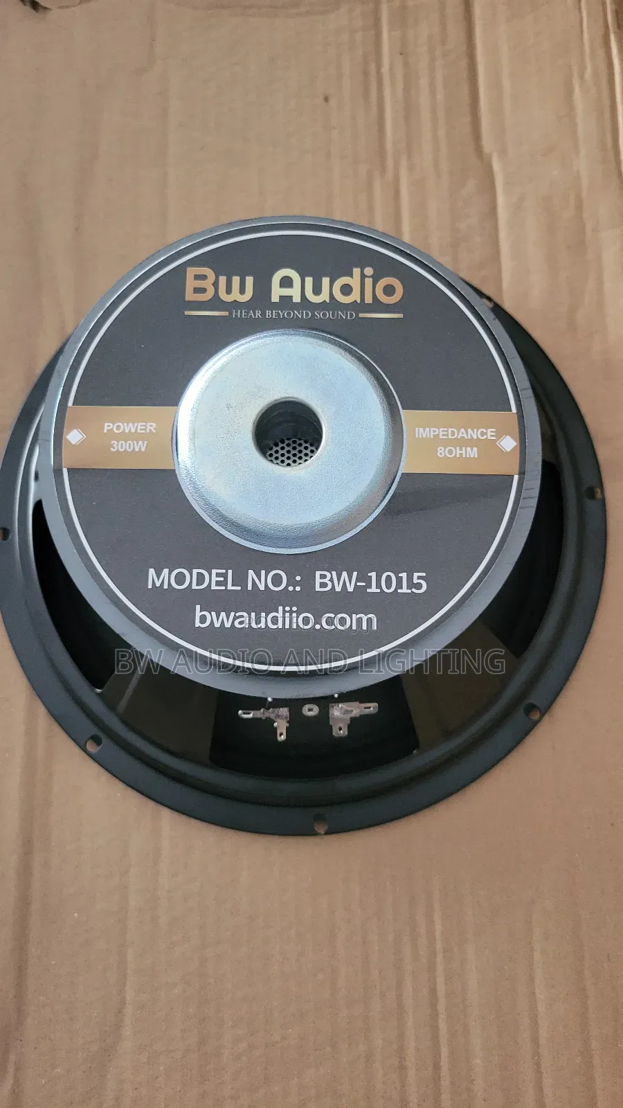 10 Inch Speaker