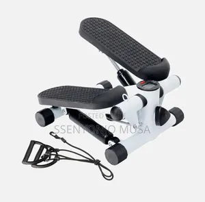 Mini Swing Stepper With Adjustable Resistance