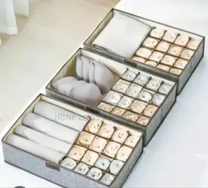 Bra/Socks/Pantie Organizer