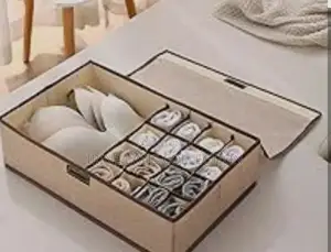 Bra/Socks/Pantie Organizer