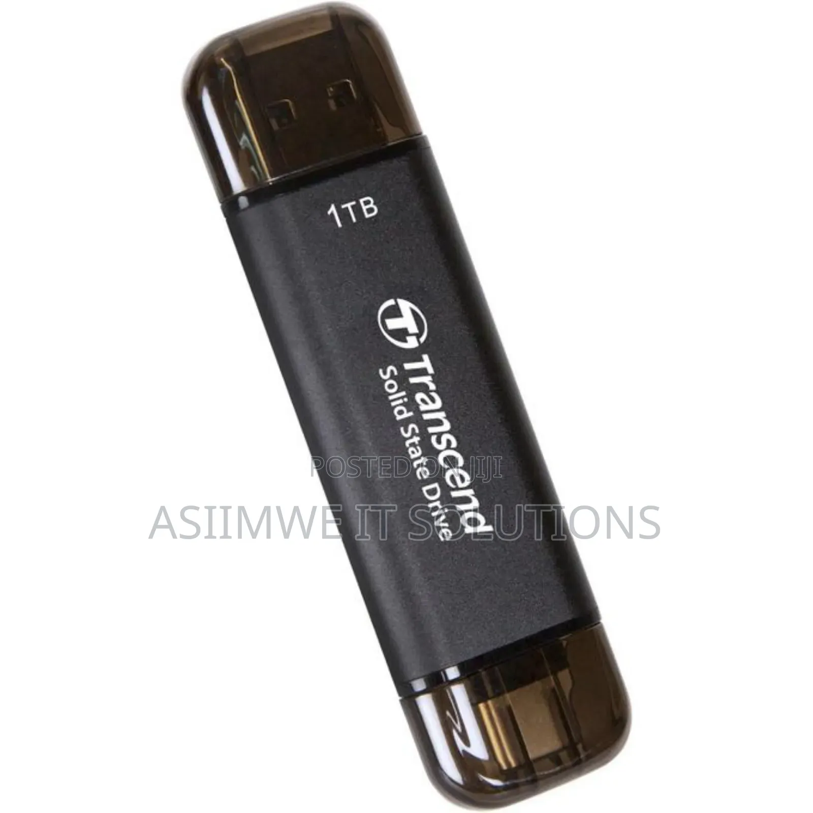 1tb Dual Usb Portable SSD 10gbps