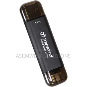 1tb Dual Usb Portable SSD 10gbps