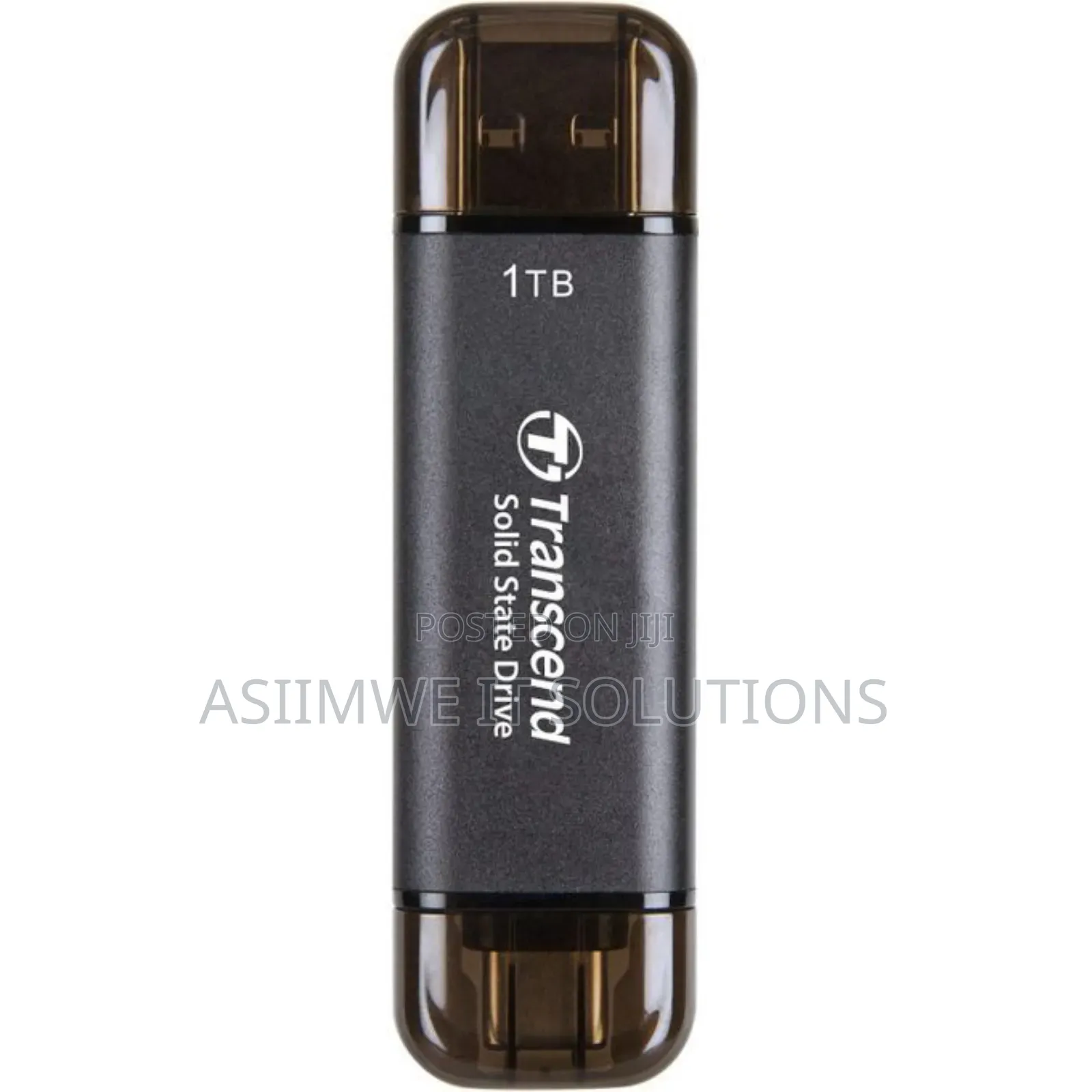 1tb Dual Usb Portable SSD 10gbps