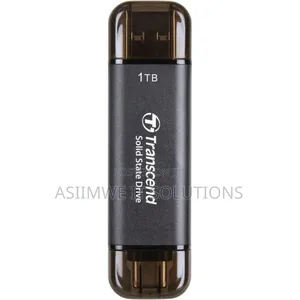 1tb Dual Usb Portable SSD 10gbps