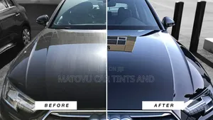 Denis Paint Protection Film Services