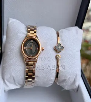 Daniel Wellington Genuine Watch Plus Free Necklace