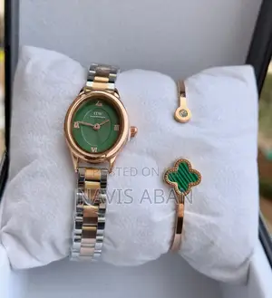Daniel Wellington Genuine Watch Plus Free Necklace