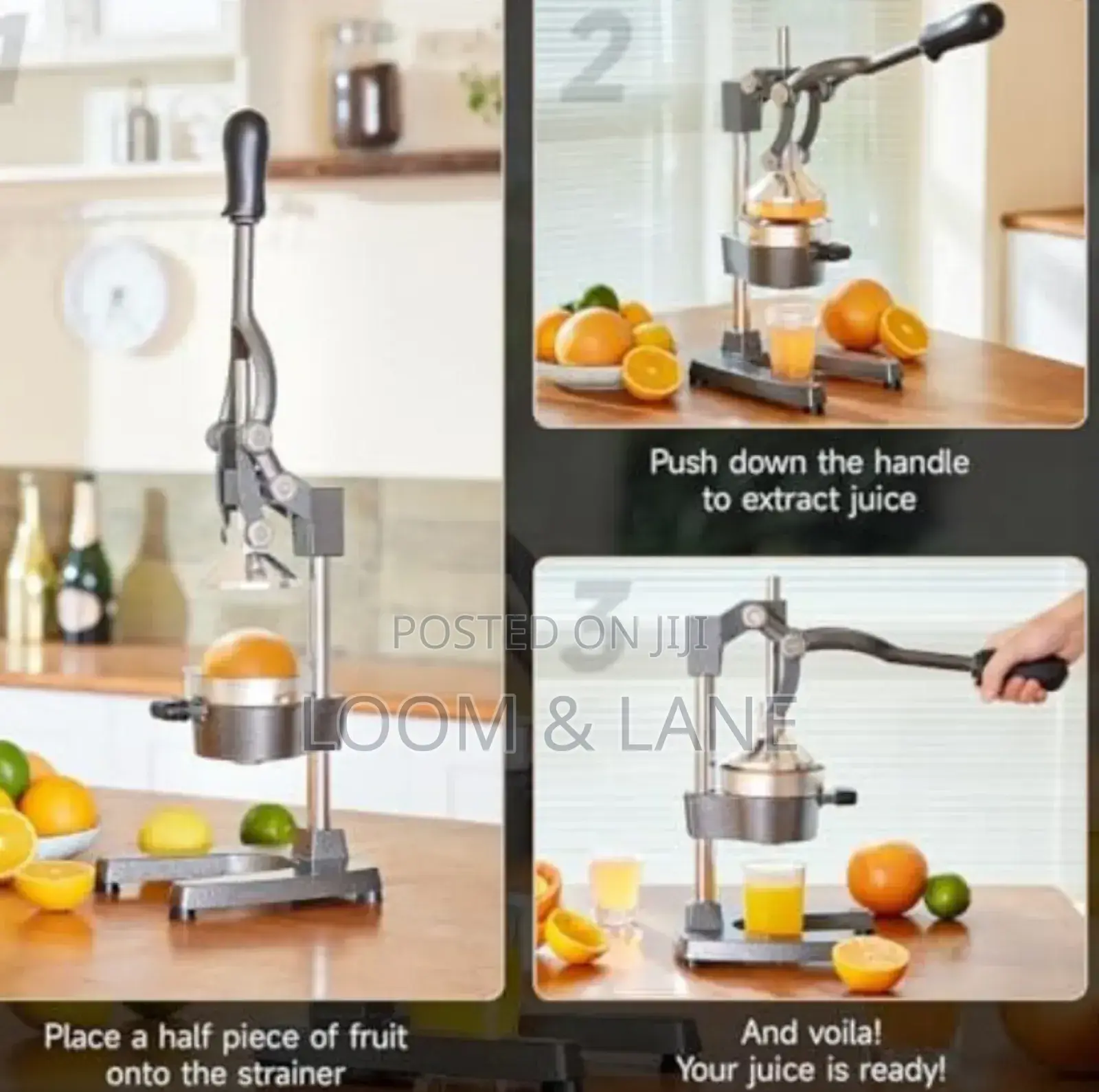 Professional Manual Citrus Juicer Commercial Grade