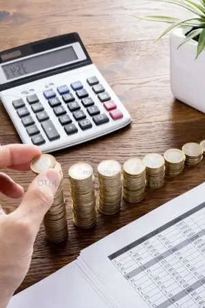 Financial Sacco Management System