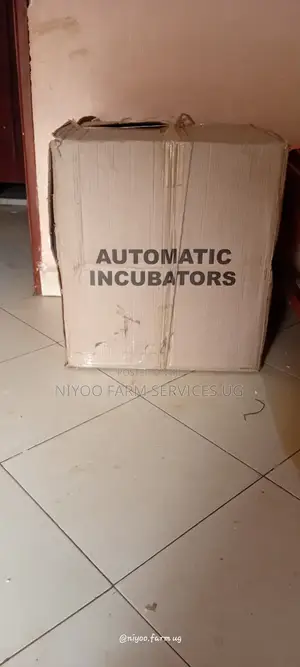 Advanced Imported 256 Eggs Incubator