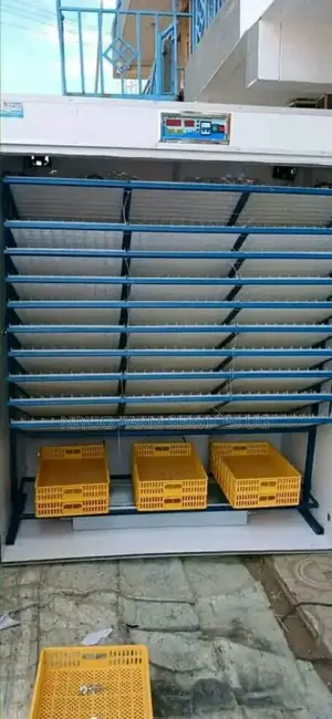 Advanced Imported 256 Eggs Incubator