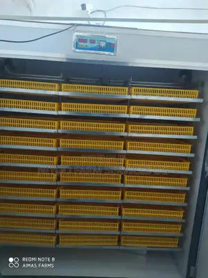 3168 Egg Incubator