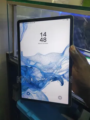 Samsung Galaxy Tab S8 128 GB Gray