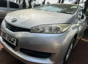 Toyota Wish 2010 Silver