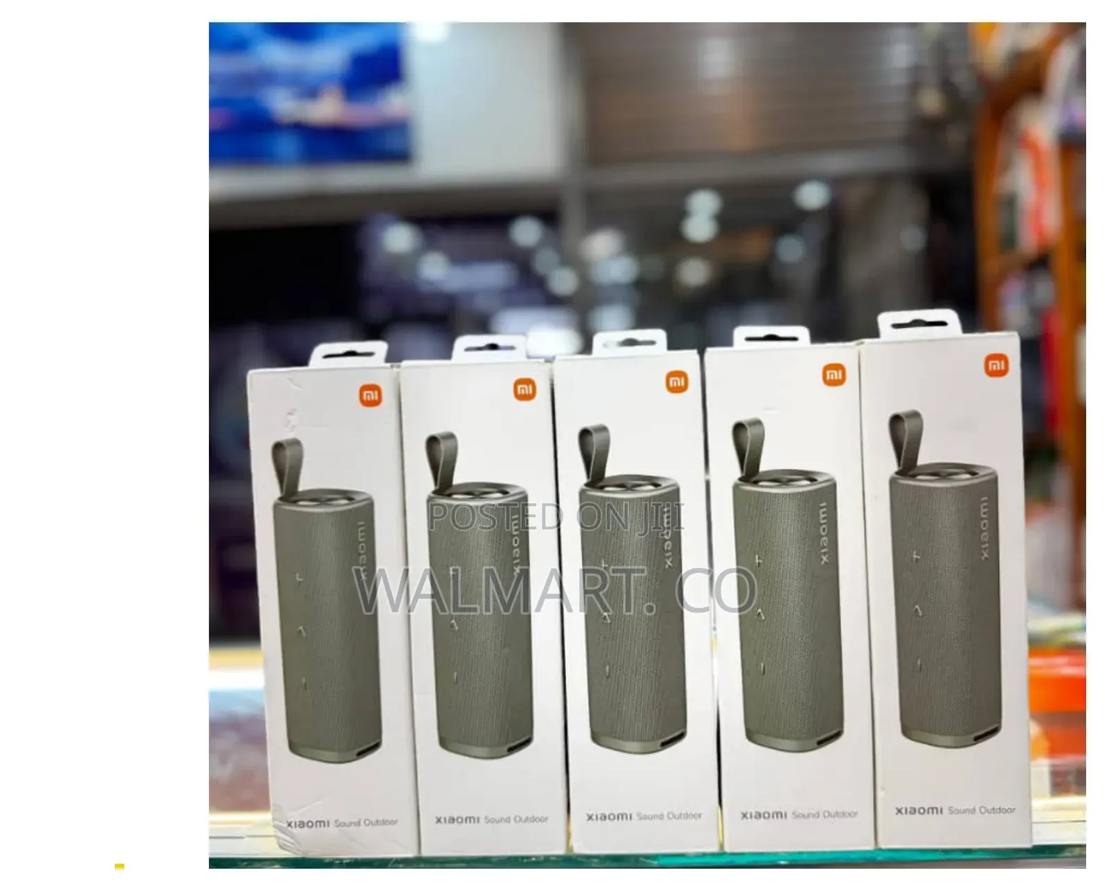 Xiaomi Outdoor 30w Bluetooth Speaker