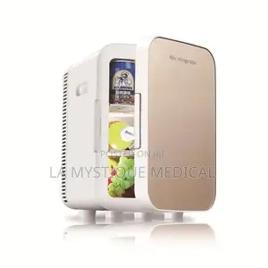 Mini Refregerator