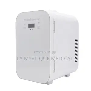 Mini Refregerator