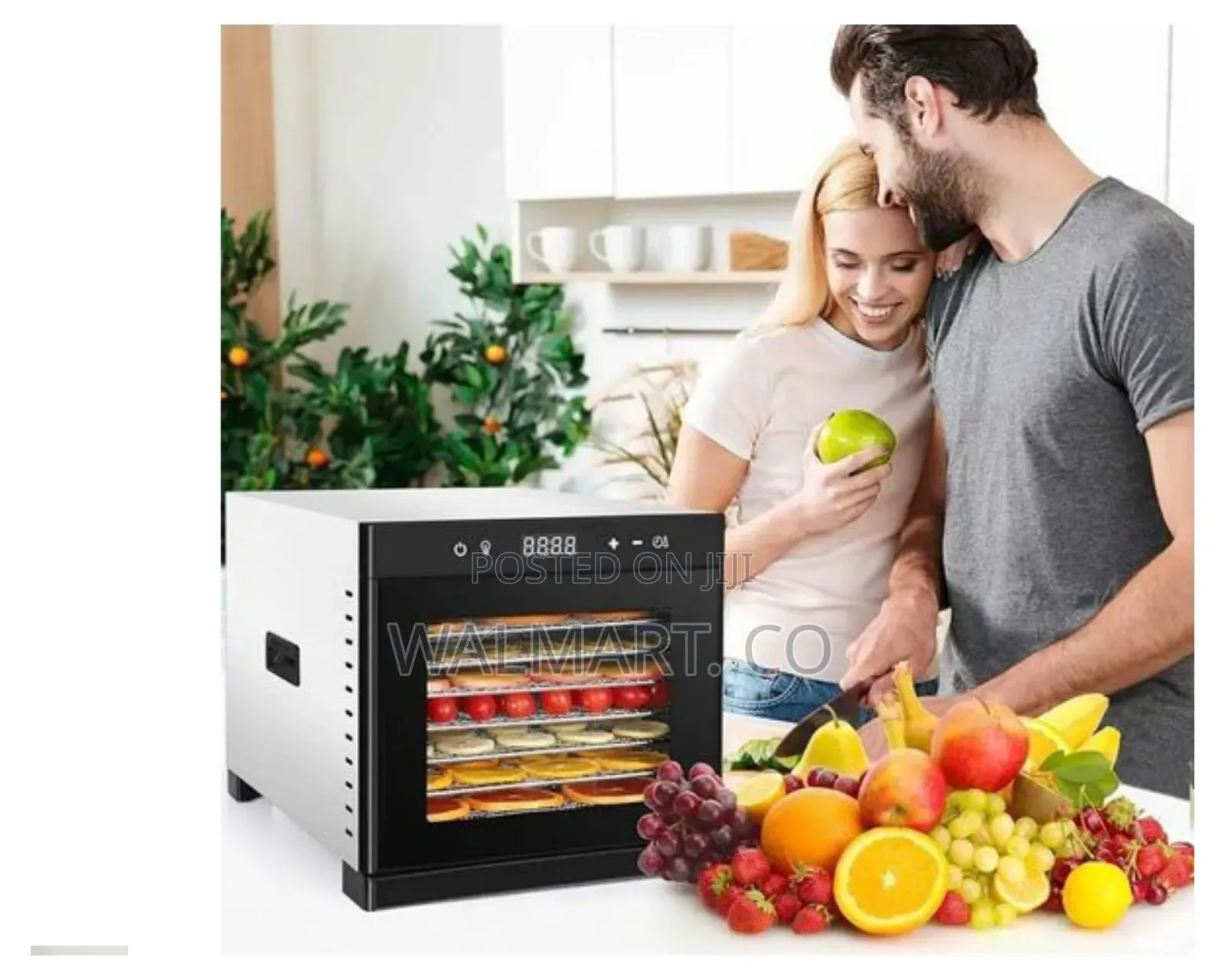 Commercial Electric Food Dehydrator With 6 Trays