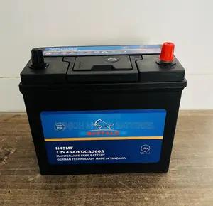 Ns60 /045 Buffalo Car Battery