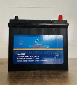Ns60 /045 Buffalo Car Battery