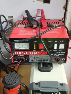 Battery Charger 12v/24v