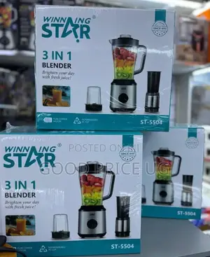 Winningstar Blender 3 in 1