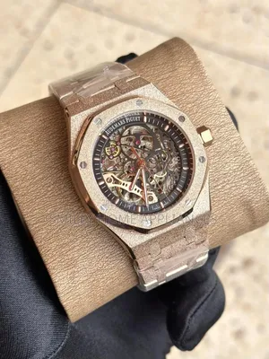 Men's Classy Audemars Piguet Mechanical Wrist Time Piece at Discount