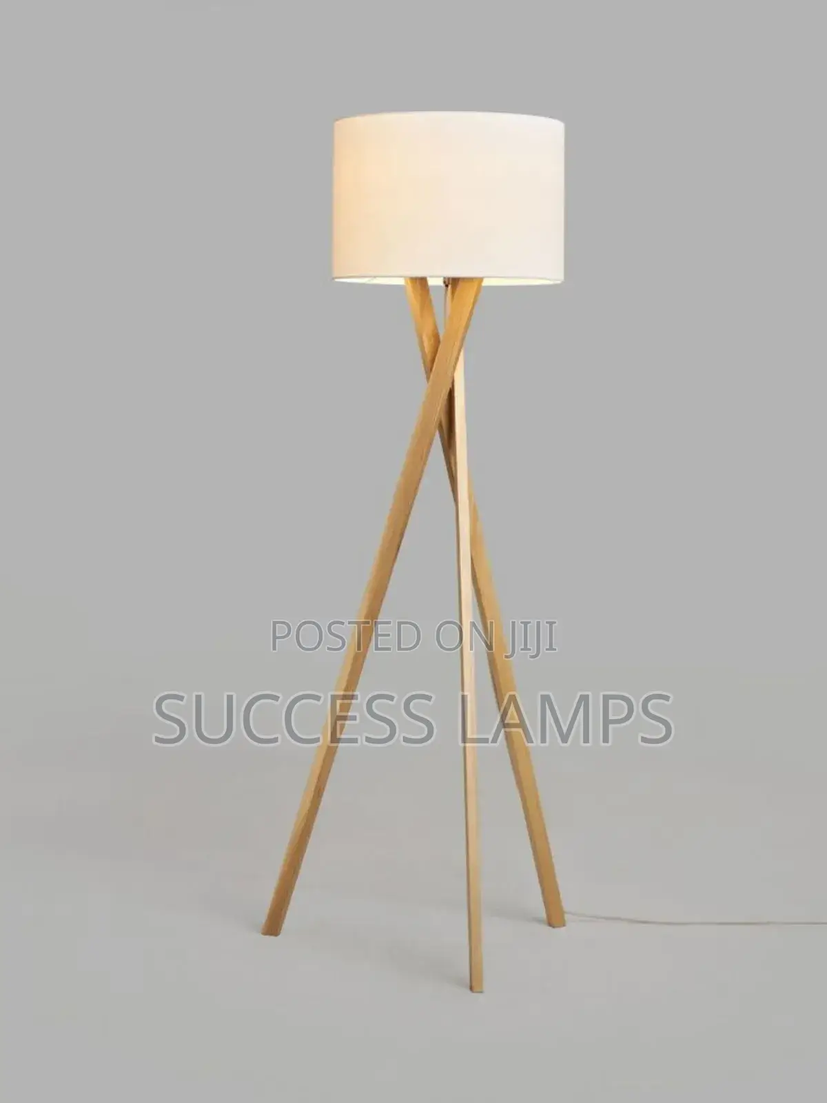 Ferritin Floor Lamps