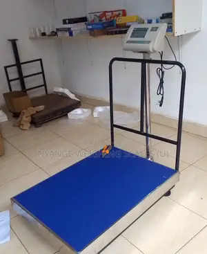 Package Platform Weighing Scale 500kg Weigh Accurate Weighing Scale