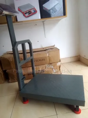 Commercial Price Weighing Scale 400kg Weigh Platform Weighing Scale
