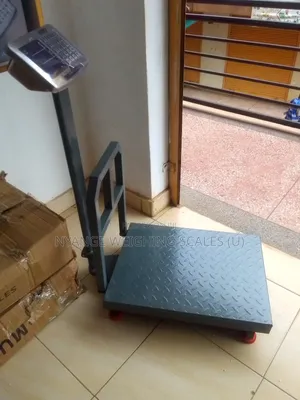Waterproof Platform Weigh Scale 400kg Weigh Accurate Weighing Scale