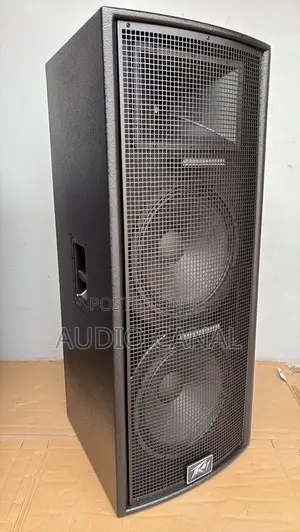 Peavey Sp4 Full Range Speaker