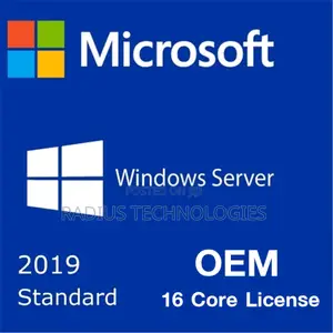 Windows Server 2019 Standard Lifetime License Key
