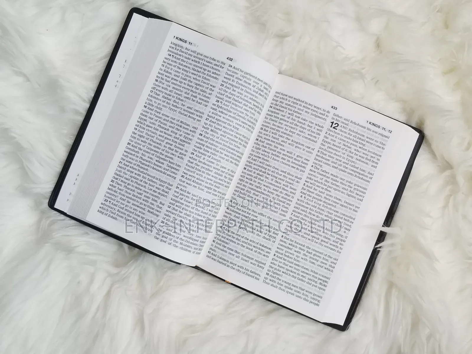 Bible - KJV "King James Version" Bible