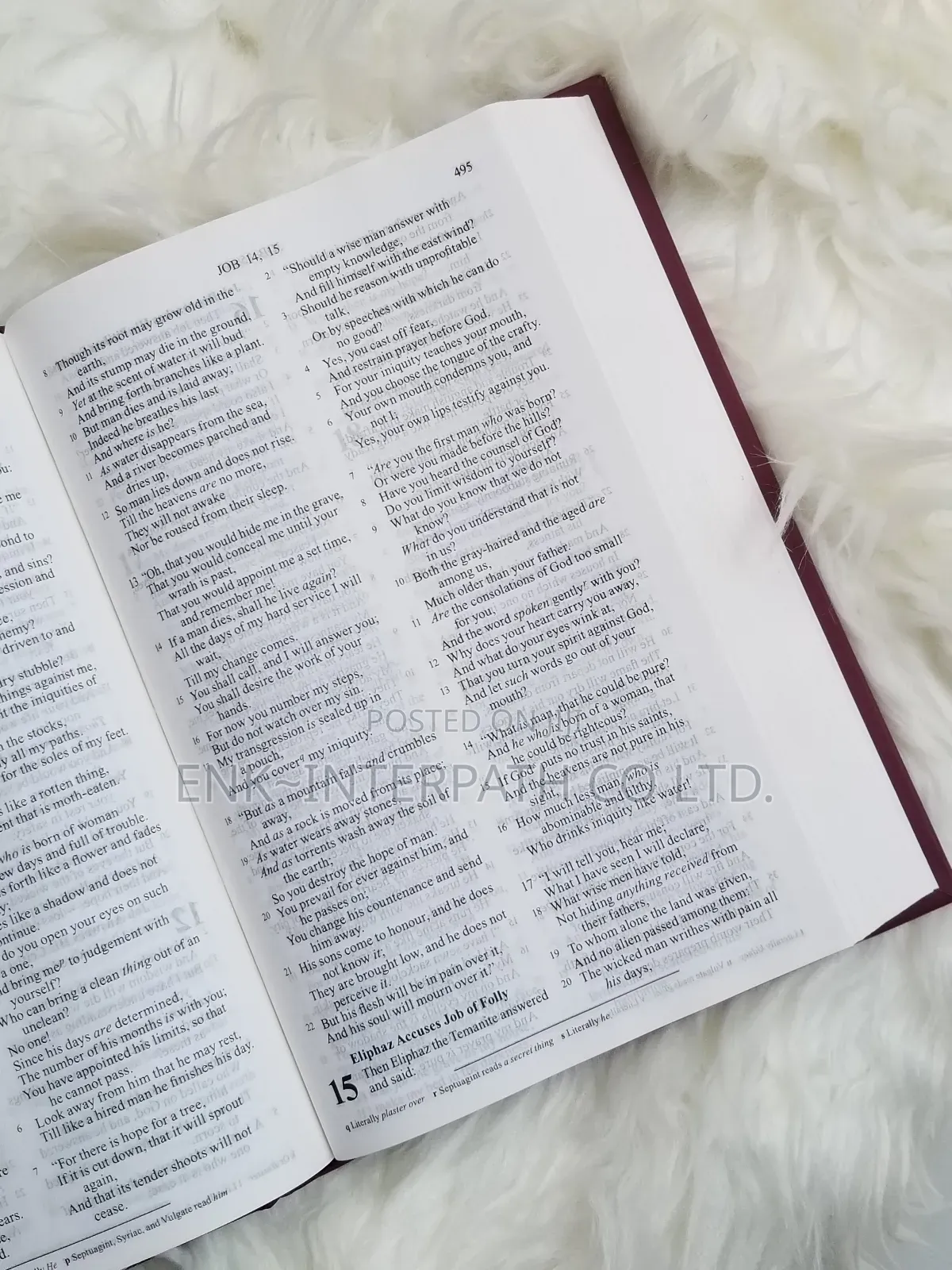 Bible - NKJV Bible "New King James Version"