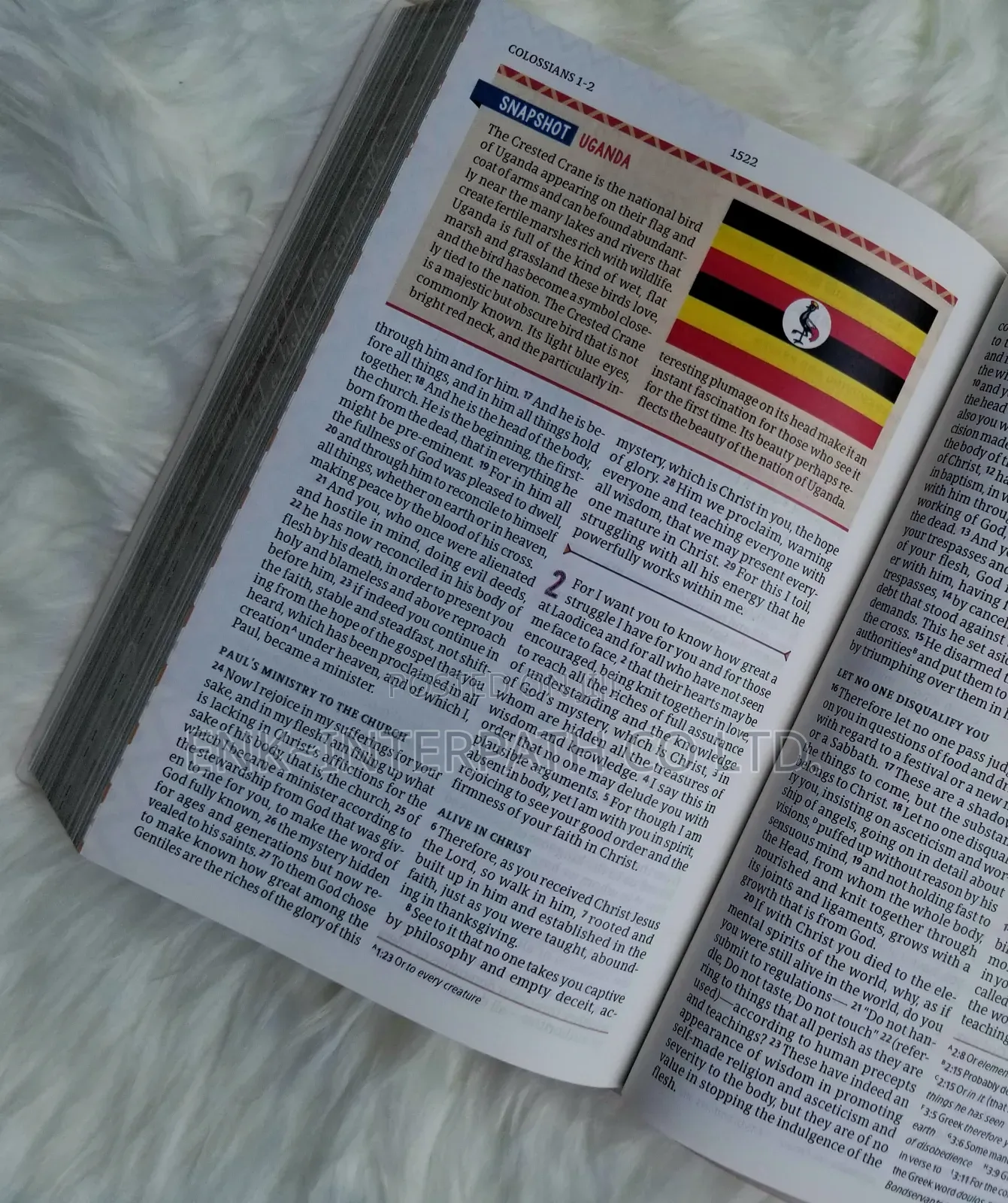 Bible - African Women Devotional Bible