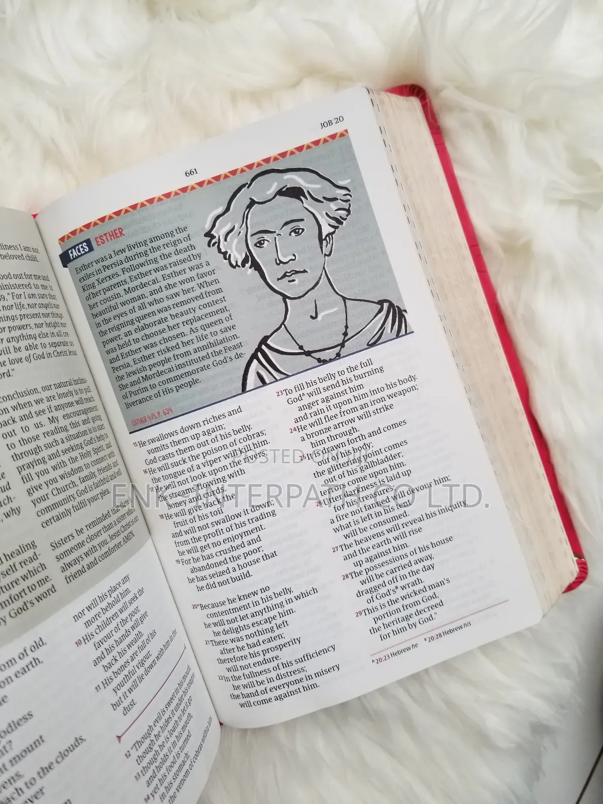 Bible - African Women Devotional Bible