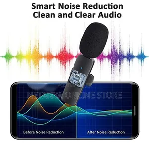 Portable Bluetooth Microphones