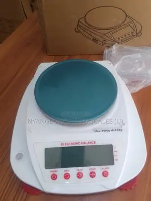 Lab Electronic Weighing Scale 3000g/0.01g Weigh Digital Weighing Scale