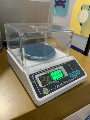 Accurate Weighing Scale 3000g Digital Weigh Accurate Weighing Scale