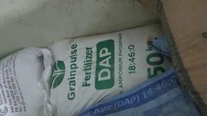 Dap: Diamonium Phosphate Grain Pulse Fertiliser