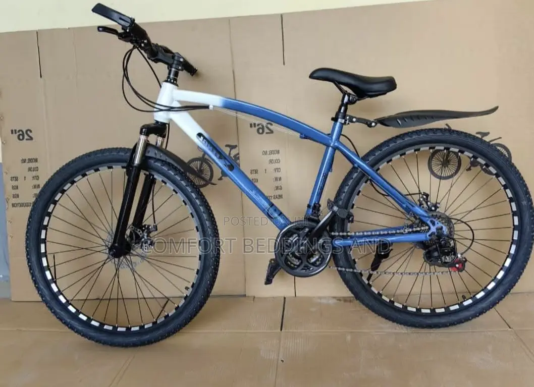 Adult Bicycle Blue
