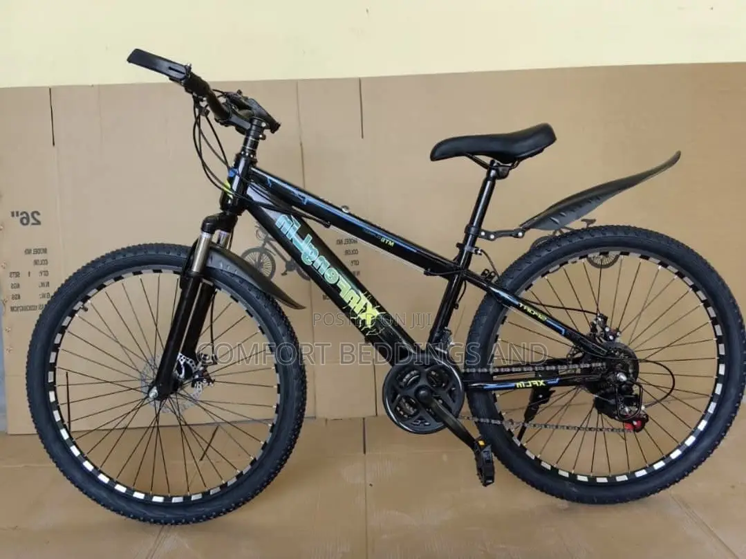 Adult Bicycle Black